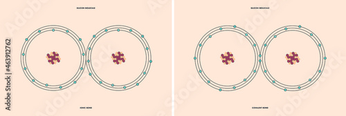 Conceptual vector representation of a silicon molecule, made up of two atoms, and the types of chemical bonds: covalent, atoms sharing electrons, and ionic, an atom gives an electron to another atom. 