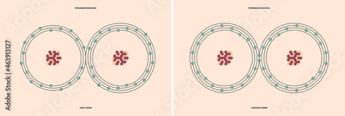 Conceptual vector representation of a potassium molecule, made up of two atoms, and the types of chemical bonds: covalent, atoms sharing electrons, and ionic, an atom gives an electron to another atom