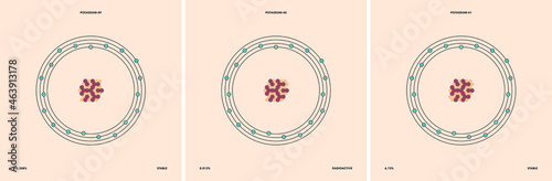 Conceptual vector representation of a potassium atom and its natural isotopes: potassium-39 with twenty neutrons, potassium-40 with twenty-one neutrons and potassium-41 with twenty-two neutrons. 