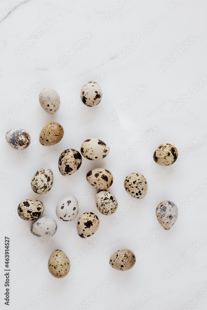 Eggs and chicken eggs Eggs and chicken eggs
