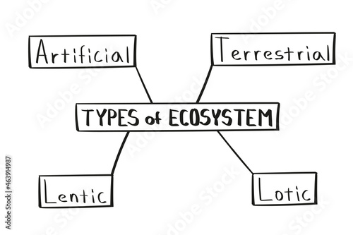 Concept of types of ecosystem mind map in handwritten style