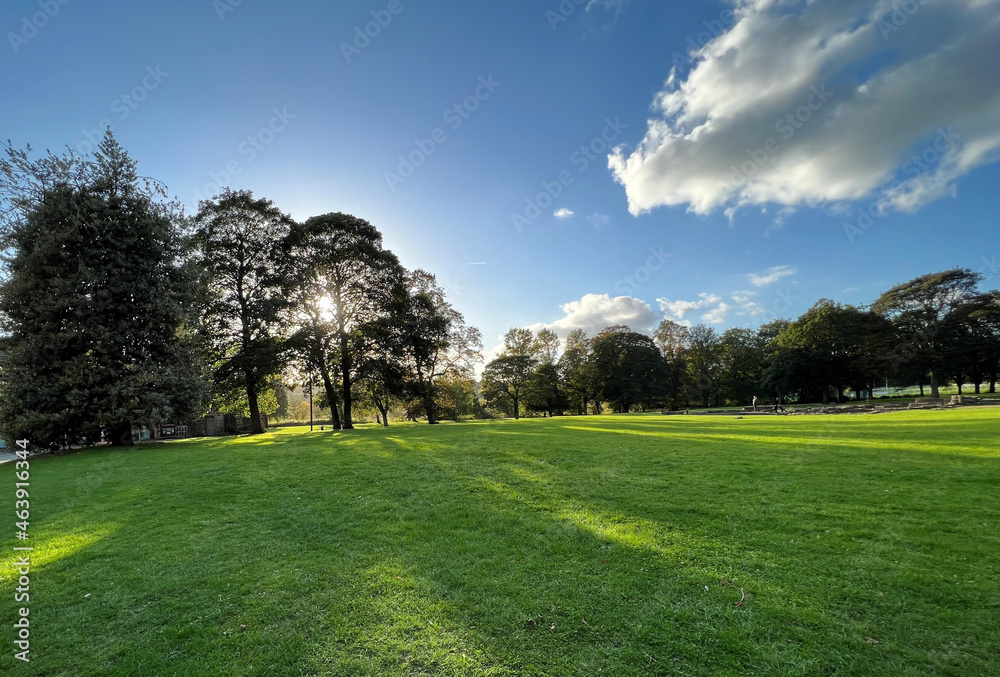 Autumn evening shadows, over parkland near, Abbey Road, Leeds, UK