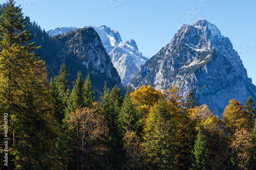 Bergwald in alpiner Landschaft mit gelben und rötlich braunen Farbtönen sowie hohen Bergen im Hintergrund