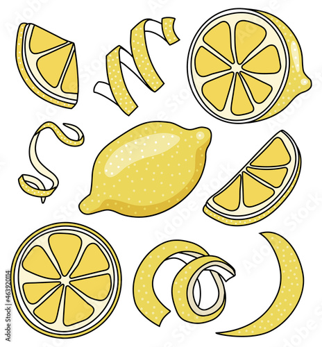 Collection set of yellow lemon and citrus fruits zest twist for menu, farmers market design, cocktail making process illustration, cookbook decoration etc. Doodle cartoon style vector illustration