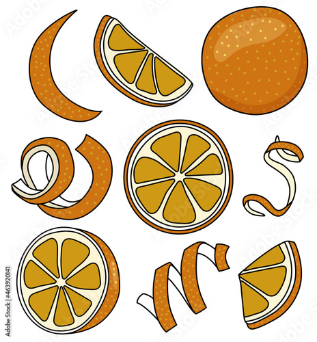 Collection set of orange and citrus fruits zest twist for menu, farmers market design, cocktail making process illustration, cookbook decoration etc. Doodle cartoon style vector illustration
