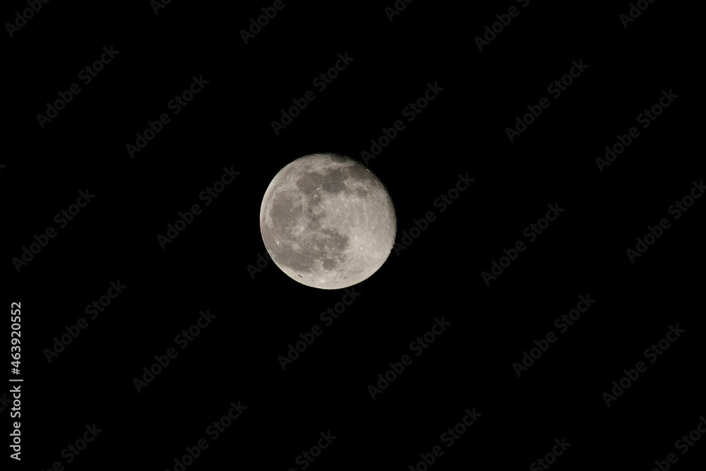 Fototapeta premium Moon