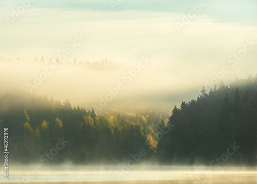 morning mist on the rive