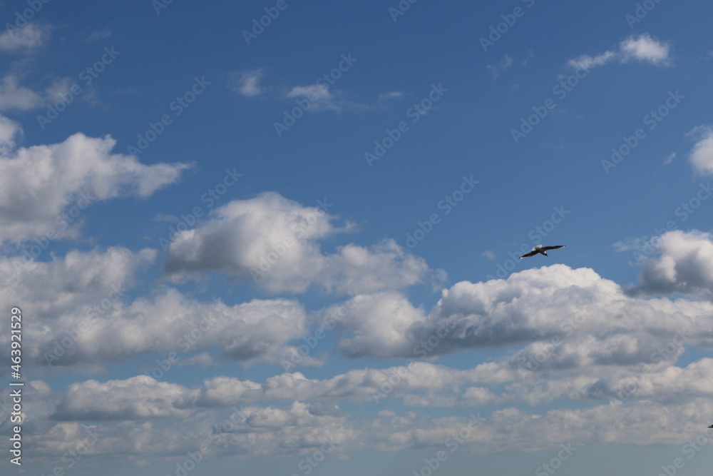 Lake Onega Lake Onega