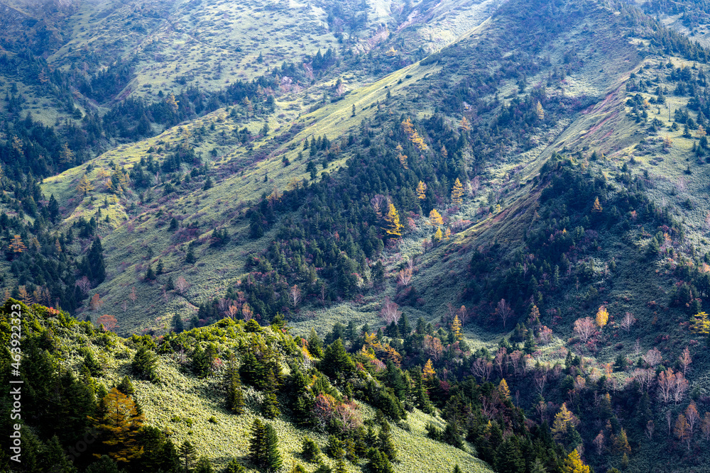 Fototapeta premium 志賀高原の秋