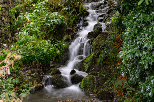 Rio pirenaico a través del Bosque