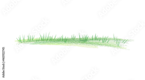 Green grass. Horizontal background. Hand drawn pencil picture isolated on white.