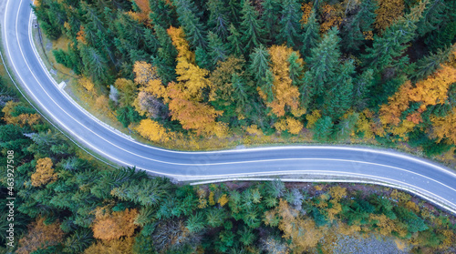 Aerial view of the road in a beautiful pine and deciduous forest. Drone flight over mountain roads. © malshak_off