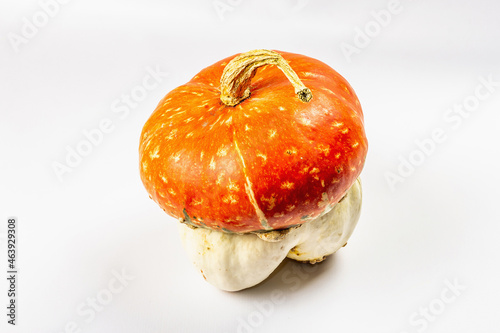 Ripe decorative pumpkin isolated on a white background