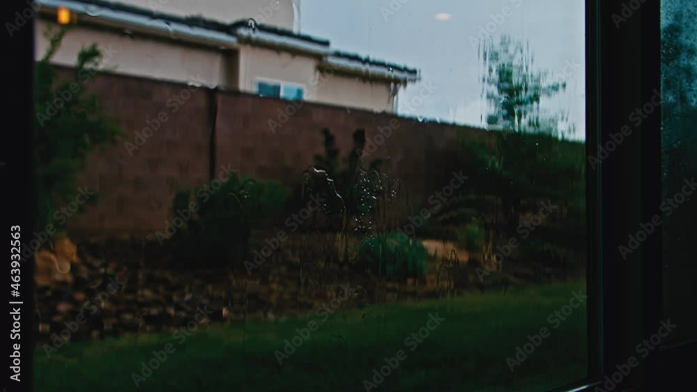 Sad Rain Flowing Down Window, Plants Behind - Wide Shot Sad Rain Flowing Down Window, Plants Behind - Wide Shot