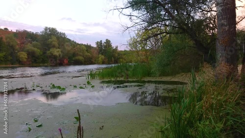 Panorama of the Psel River, Velyka Bahachka, Ukraine photo