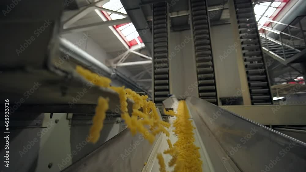 Shaking conveyor belt moves on dry macaroni to fall on long conveyor way the packing machine. Full cycle process of pasta industrial producing on modern food factory Shaking conveyor belt moves on dry macaroni to fall on long conveyor way the packing machine. Full cycle process of pasta industrial producing on modern food factory