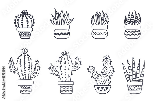 Set of cute cactus and succulents, vector illustration in hand drawn style © Катерина Клименкова
