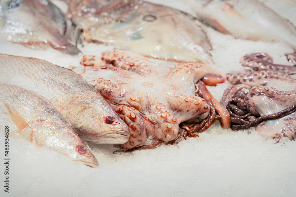 Fresh octopus and fish on ice in supermarket. Sale of seafood. Open showcases , counter of seafood market Fresh octopus and fish on ice in supermarket. Sale of seafood. Open showcases , counter of seafood market