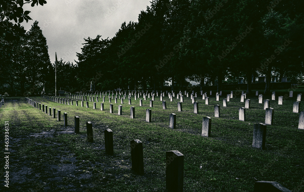 Civil War Confederate Cemetery in Newnan, Georgia rows of headstones in historic graveyard
