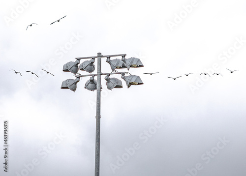 geese flying above sports field lights in cloudy sky with negative copy space
