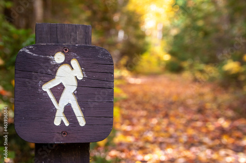 A trail marker surrounded with fall colors. 