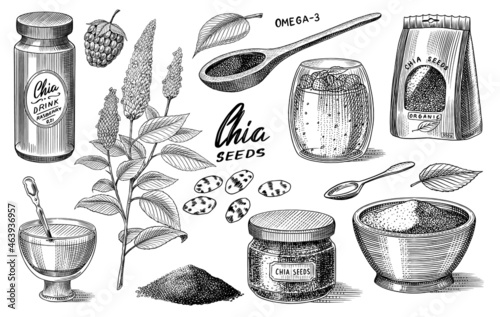 Chia plant and seeds. Salvia hispanica. Spice packaging, wooden spoon and dessert cup and pudding. A handful of seasoning and a glass bottle. Engraved hand drawn in old sketch and vintage style. 