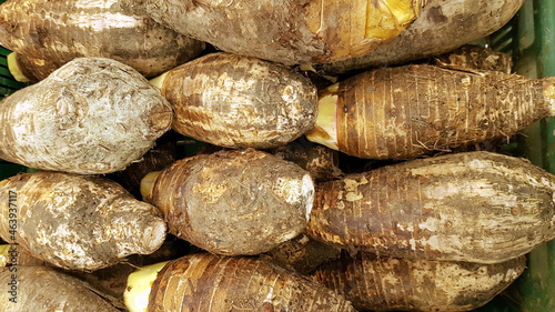 Obraz na płótnie Taro are arranged in a row for sale in a grocery store.