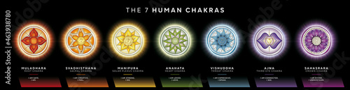 Chakra symbols set with affirmations. Perfect for kinesiology practitioners, massage therapists, reiki healers, yoga studios or your meditation space.