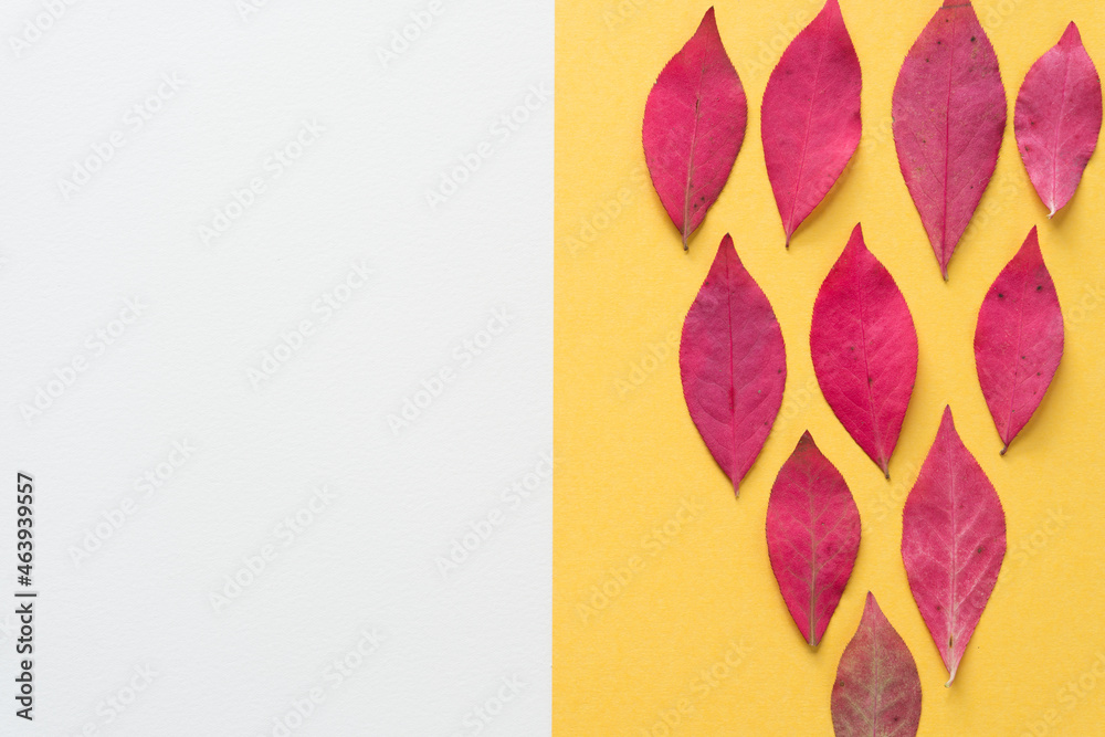 autumn leaves arranged on yellow paper with white space autumn leaves arranged on yellow paper with white space