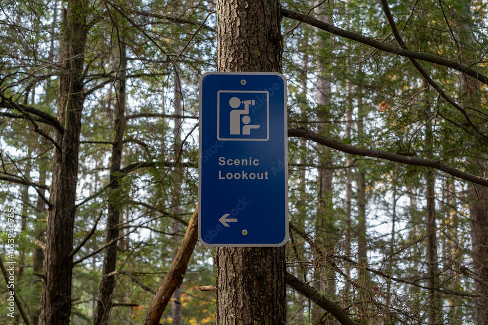 Trail sign scenic lookout with an arrow attached to a tree in the forest, out of focus leafs and woods in the background. Active lifestyle, hiking, portaging, recreation concept. Trail sign scenic lookout with an arrow attached to a tree in the forest, out of focus leafs and woods in the background. Active lifestyle, hiking, portaging, recreation concept.