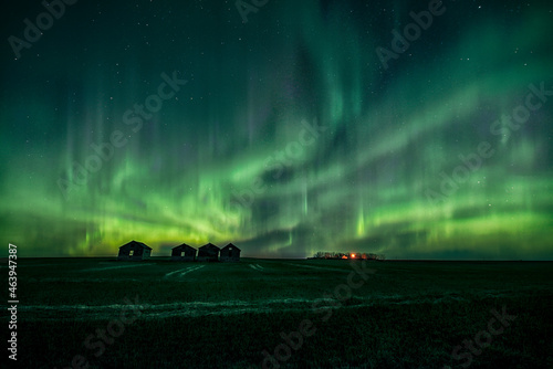 Aurora over the field