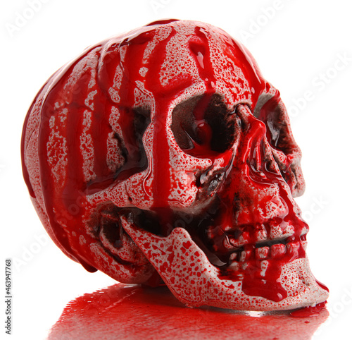 Bloodstained human skull on...