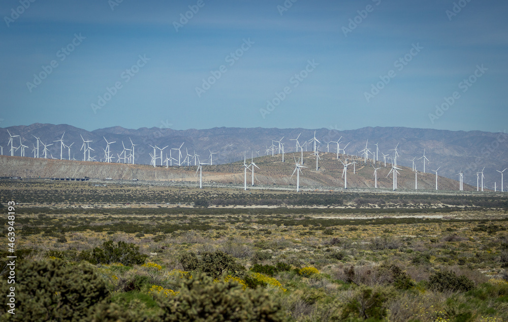 Windmills in the desert