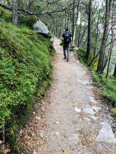 hiking in the woods