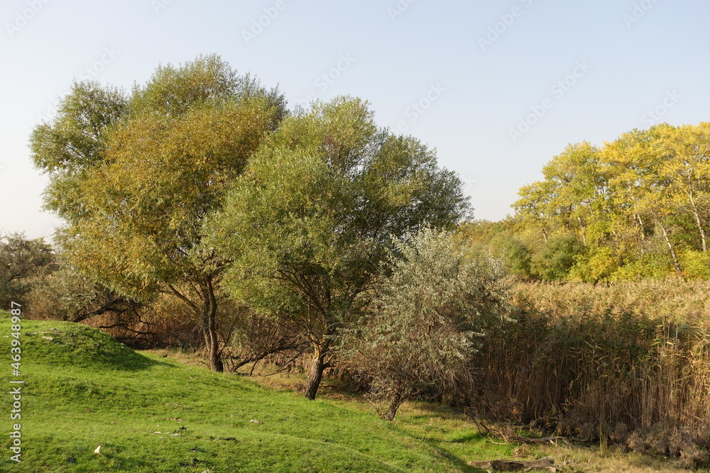 The beauty of the majestic Caucasus:photo russia in autumn The beauty of the majestic Caucasus:photo russia in autumn