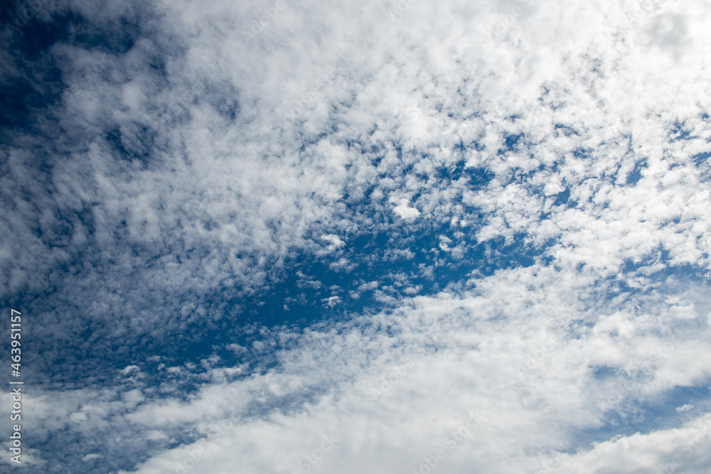 細かい雲が一面に広がる秋の空 細かい雲が一面に広がる秋の空