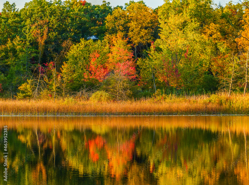 Autumn scene - landscape and lake in Michigan - USA