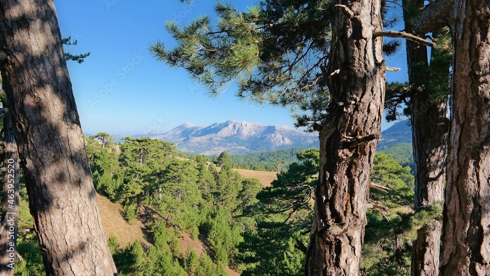 Obraz premium The landscape of Dedegol Tepesi, Konya Province, Turkey