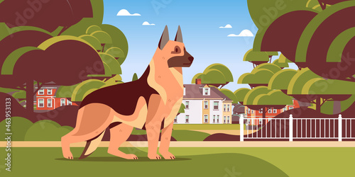 german shepherd walking outdoor cute dog furry human friend domestic animal concept
