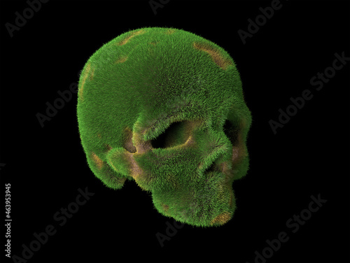 an old abandoned skull overgrown with grass with patches of brown earth. Abstract 3d illustration about time and abandon