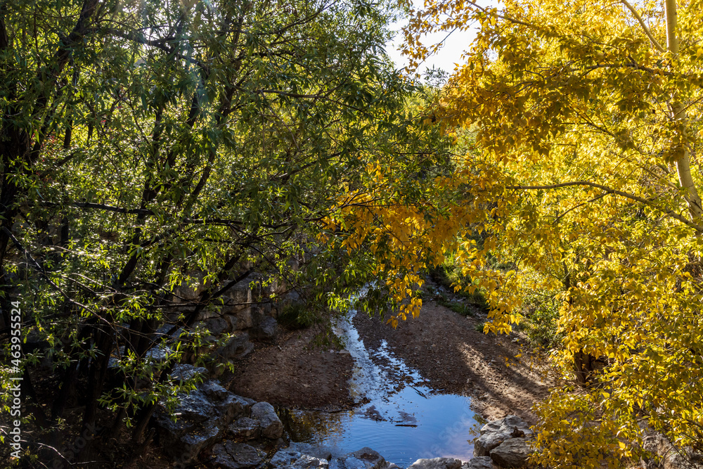 Beautiful Santa Fe River