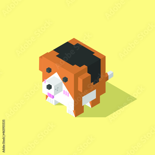 Beagle dog cubic isometric on yellow background
