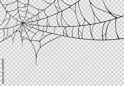 Halloween party background with spiderwebs isolated png or transparent texture,blank space for text,element template for poster,brochures, online advertising,vector illustration