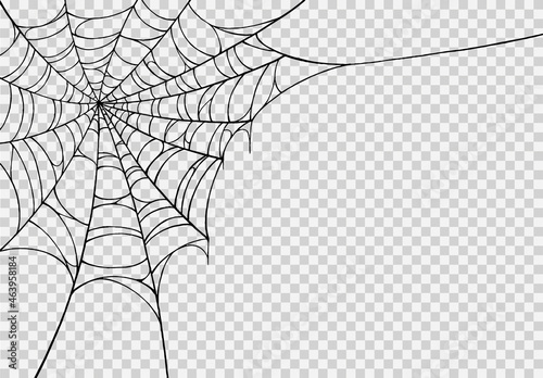 Halloween party background with spiderwebs isolated png or transparent texture,blank space for text,element template for poster,brochures, online advertising,vector illustration