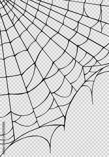 Halloween party background with spiderwebs isolated png or transparent texture,blank space for text,element template for poster,brochures, online advertising,vector illustration