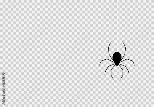 Spider hanging from spiderwebs isolated png or transparent texture, Halloween party background,blank space for text,element template for poster,brochures, online advertising,vector illustration