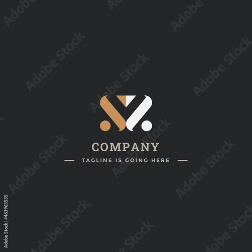 Double S logo design, simple and modern initial S.