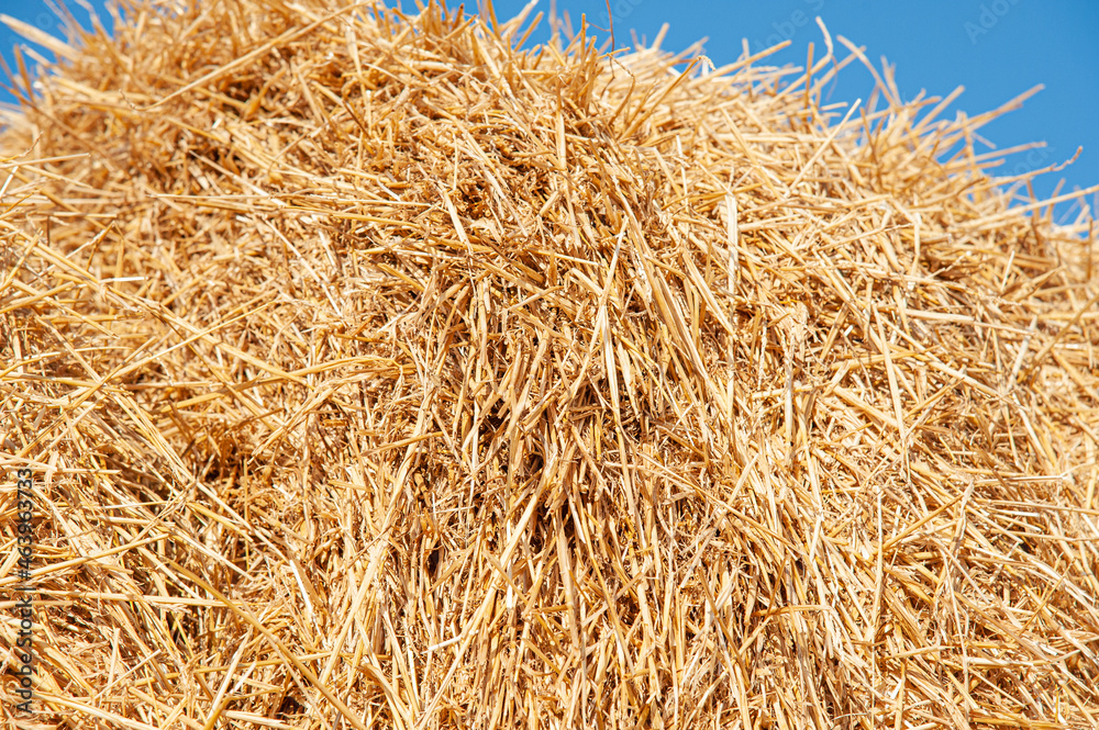 background combination of hay and blue sky with space under the text background combination of hay and blue sky with space under the text