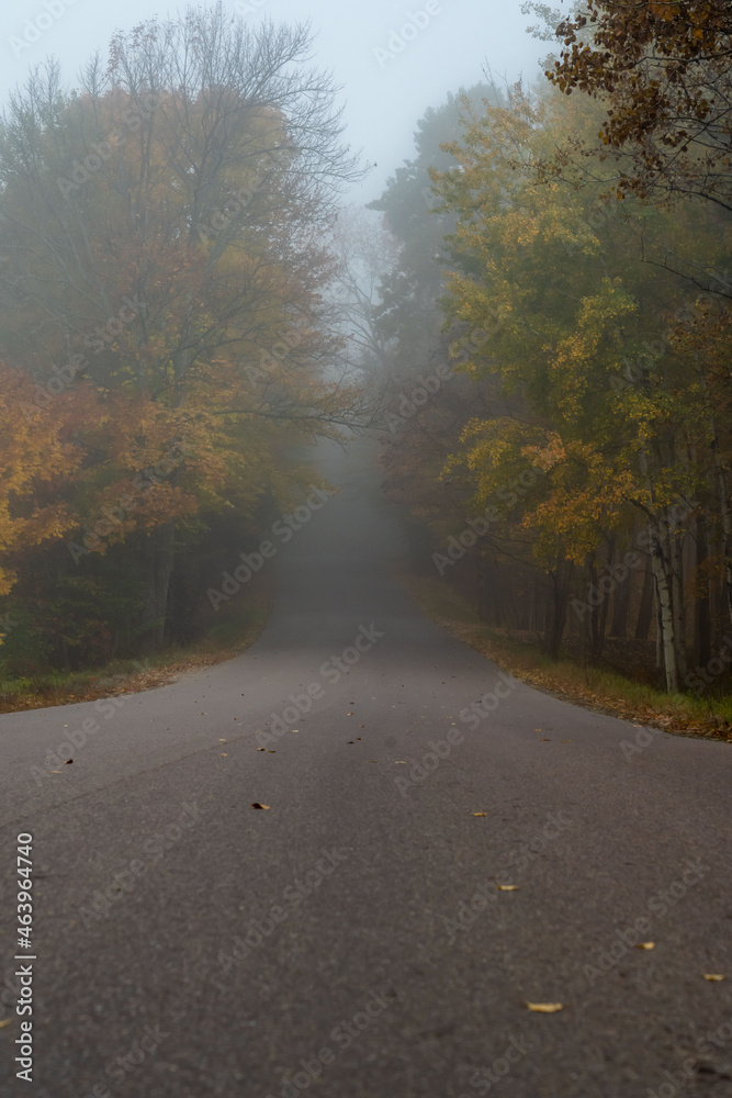 Autumn Morning Mist Road in Vermont in October