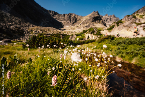 Hiking the Great Cold Valley/ velka studena dolina/ to Zbojnicka cottage and teryho cottage through priecne saddle. High Tatras National park , Slovakia. photo